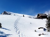 Vorschau Schneeschuh-Spur bei Zirbenhütte